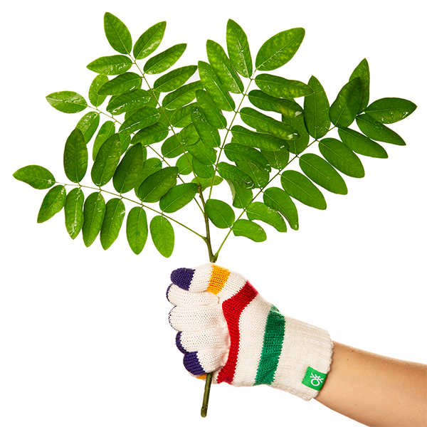Treedom